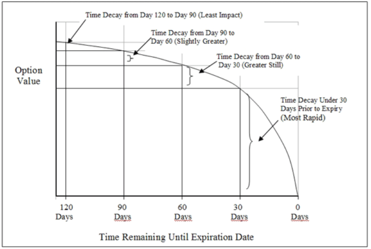 Options learning roadmap showing 6-step sequence from basics to live trading